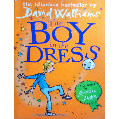 THE BOY IN THE DRESS