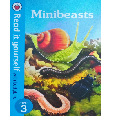 MINIBEASTS - LEVEL 3